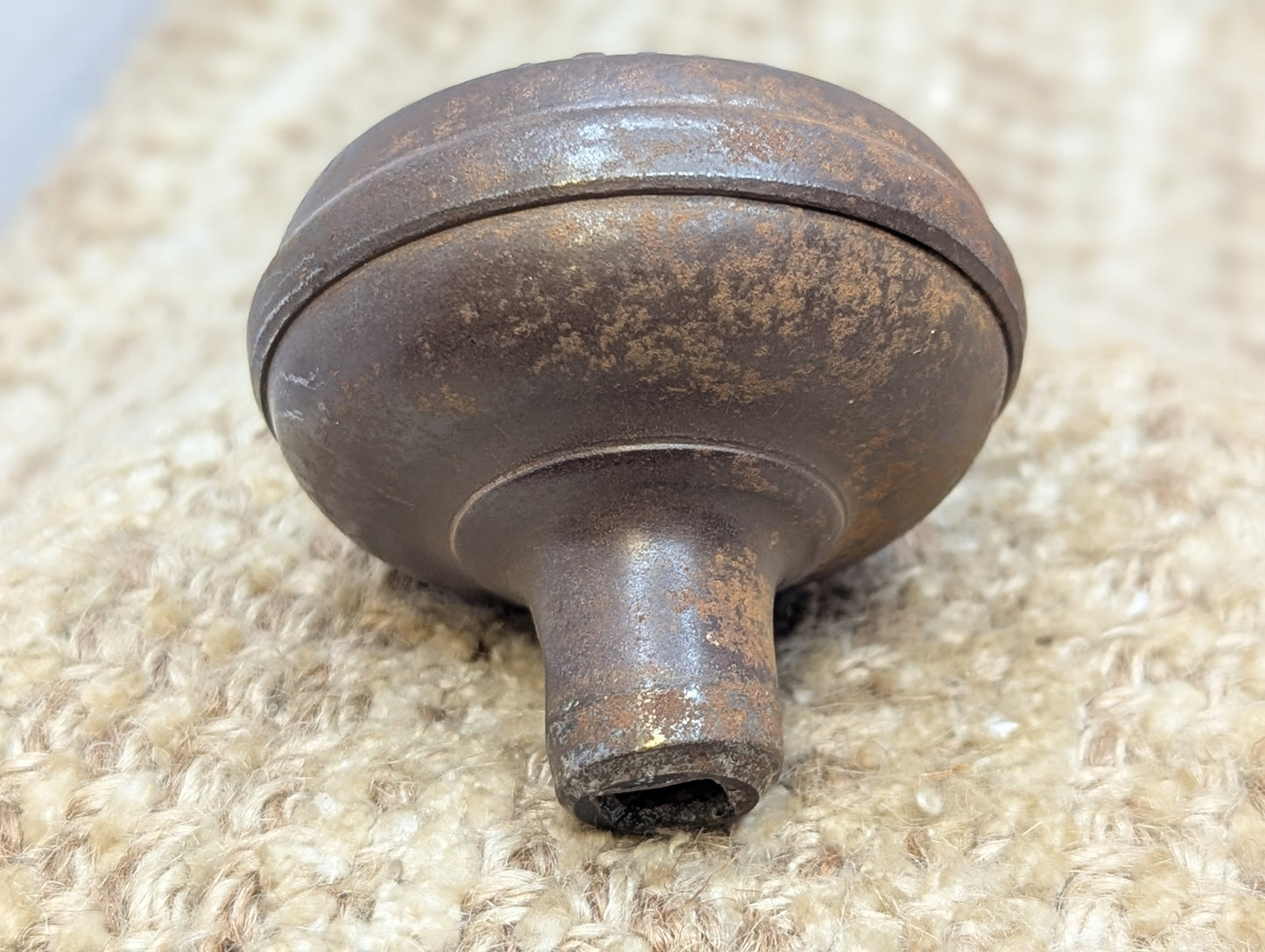 2 1/4" Antique Egg & Dart Stamped Steel Door Knob