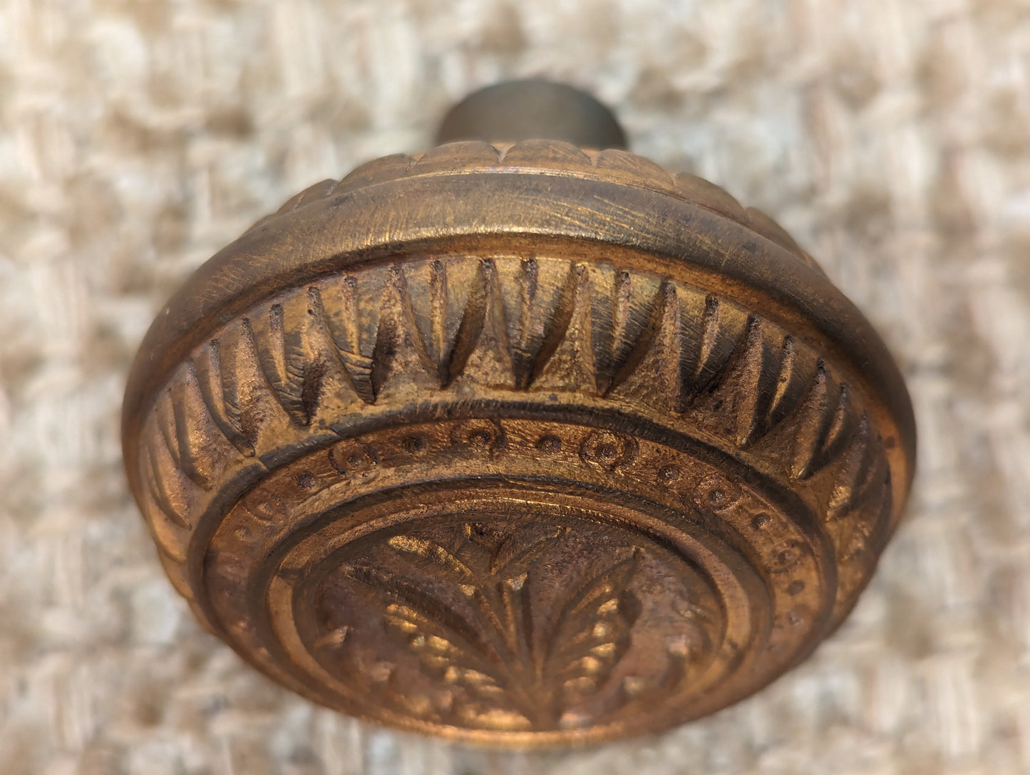 2 1/4" Antique Brittan, Graham & Mathes "Lotus" Decorative Cast Brass or Bronze Door Knob Circa 1890