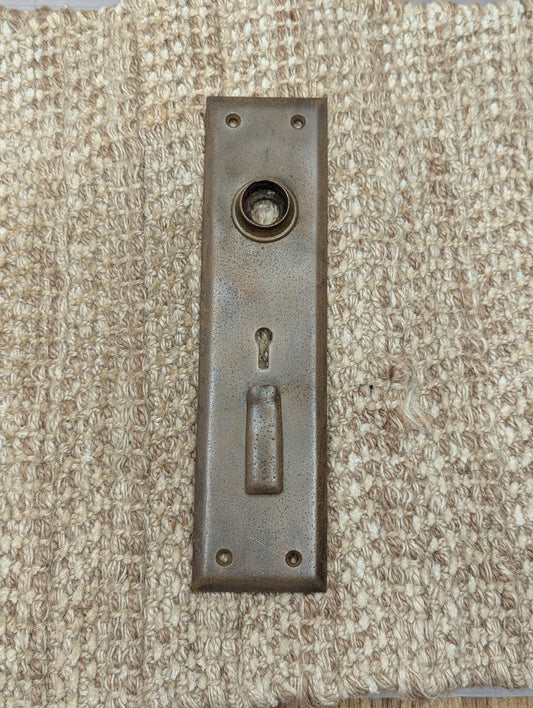 2 1/8" x 8 3/8" Antique Exterior Cast Brass Door Knob Plate